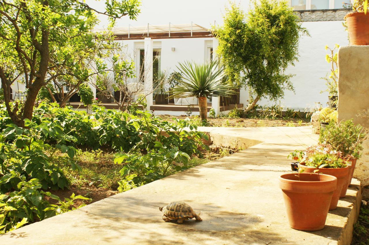 Hotel Abril 37 Ciutadella  Eksteriør billede